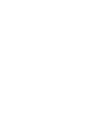 The Phoenix Project